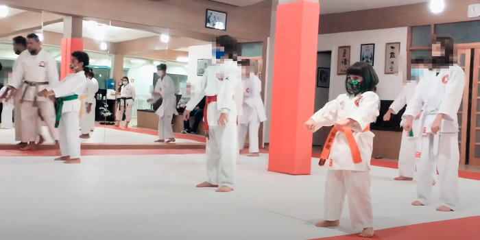 A Nobre Arte do Karate