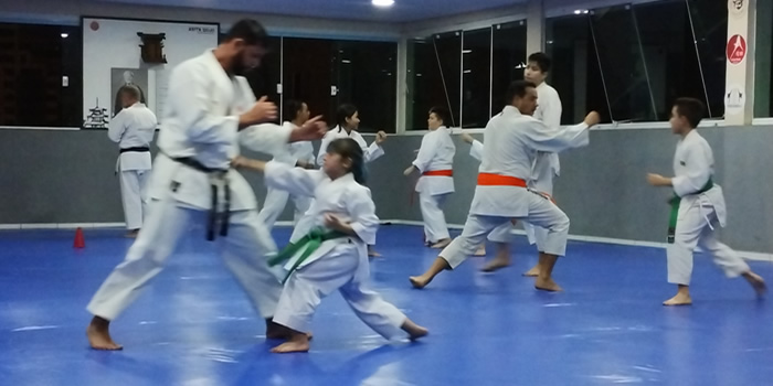 Aulas de karate - 2 de agosto de 2023 - Fiorella Bonaguro - Dojo Arita
