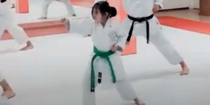 KARATE SHOTOKAN ao som de To Stay