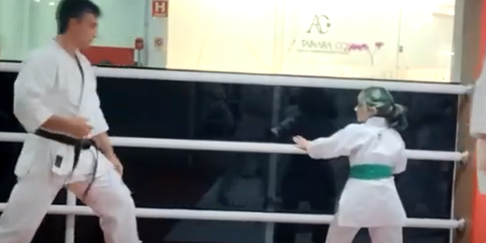Karate Shotokan - Treinamento