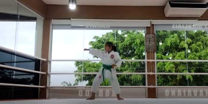 Treinamento de Karate Shotokan