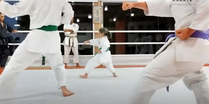 Uma breve História do inicio do karate Shotokan